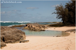 Beautiful cove along the north shore of Hawaii