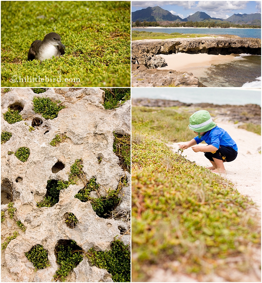oahu family and keiki activities photographer
