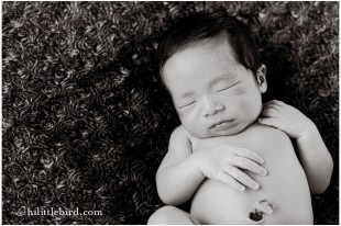 newborn photography oahu