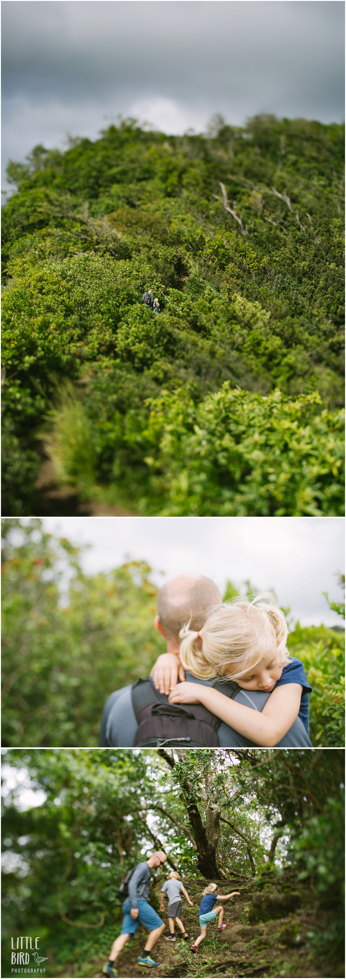 friendly hikes waahila ridge oahu kid friendly hikes 187 oahu family photography by bird friendly hikes waahila ridge oahu kid friendly hikes 187 oahu family photography by bird