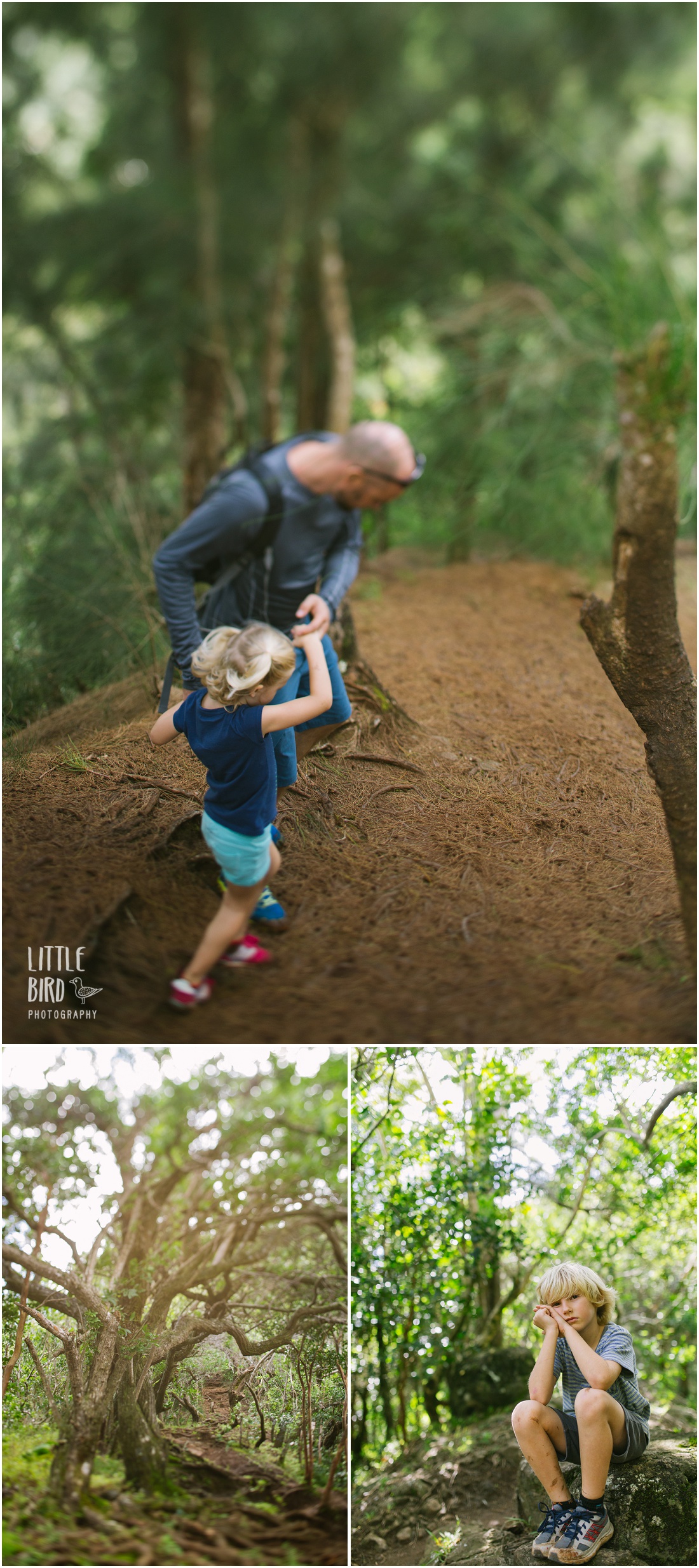 friendly hikes waahila ridge oahu kid friendly hikes 187 oahu family photography by bird friendly hikes waahila ridge oahu kid friendly hikes 187 oahu family photography by bird