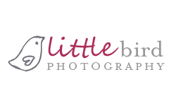 Oahu Newborn and Family Photographer Hawaii | Little Bird Photography logo