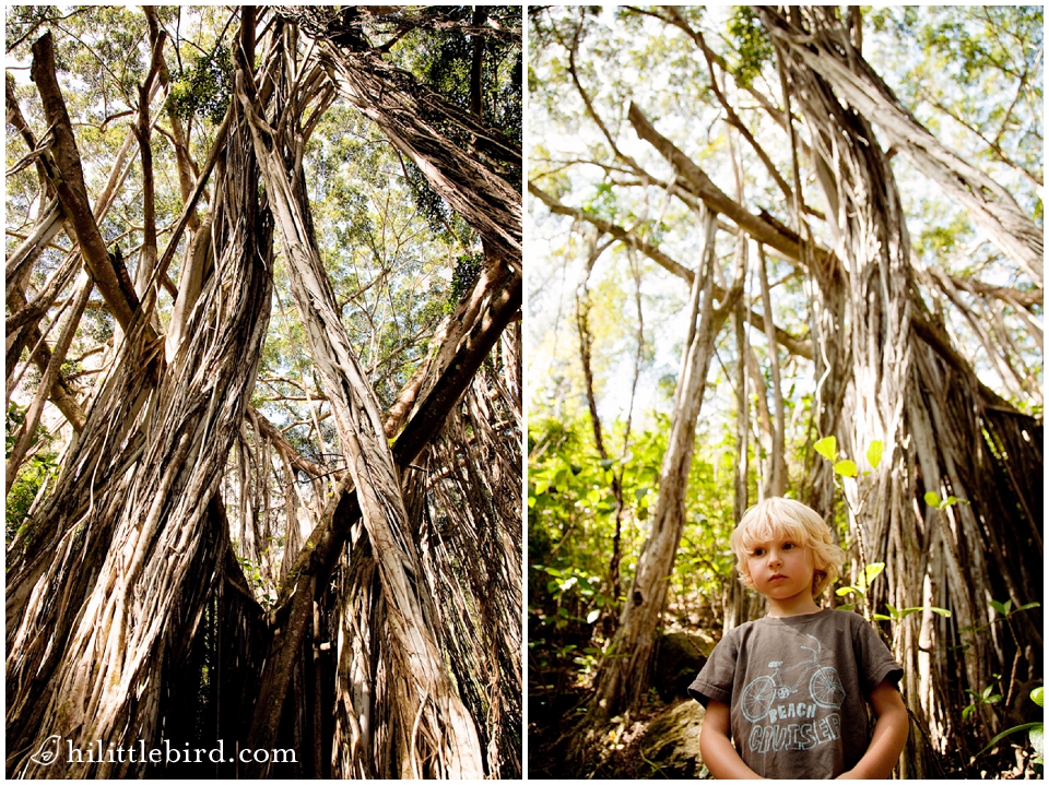 kaneohe-friendship-garden-oahu-activities-for-kids-fun-oahu-family