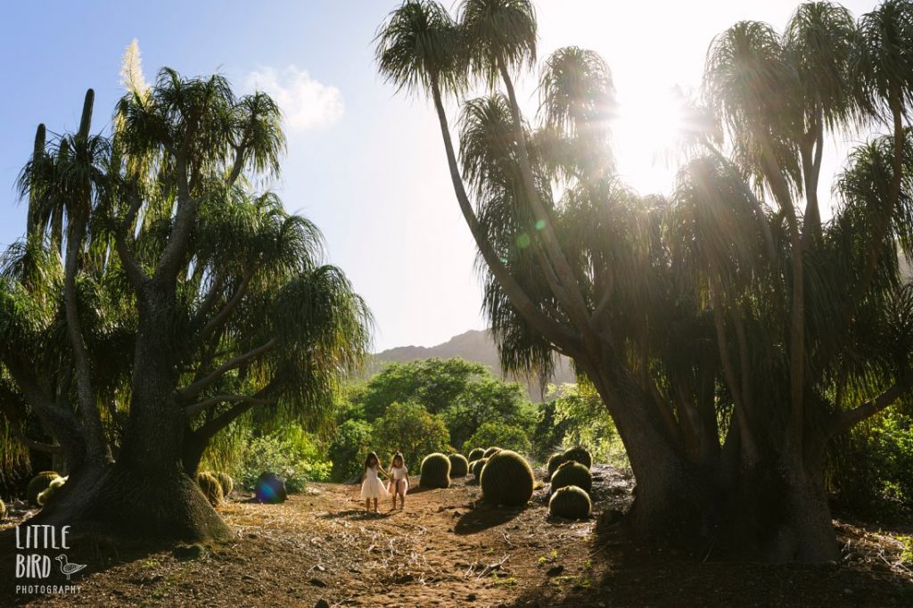 hawaii portrait photography at koko crater botanical garden