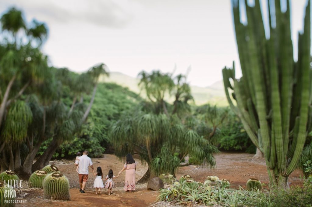 family walking along path at koko crater botanical garden hawaii