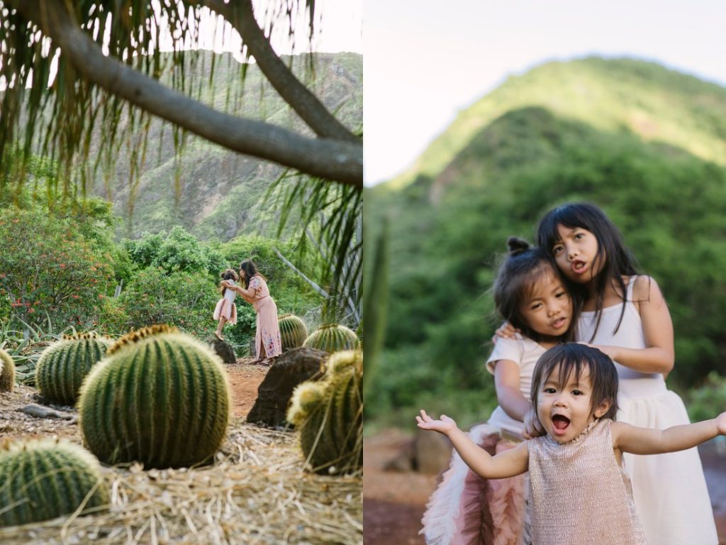 family playing in the cactus garden in hawaii