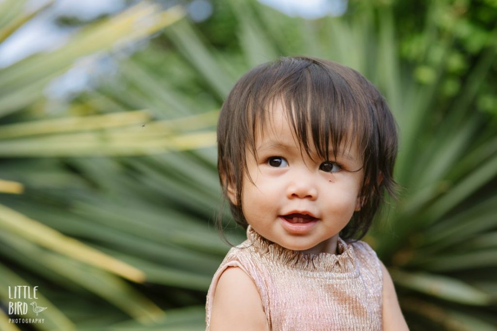 baby portraits at koko crater