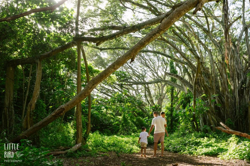 dad and sons walking through tropical forest in hawaii