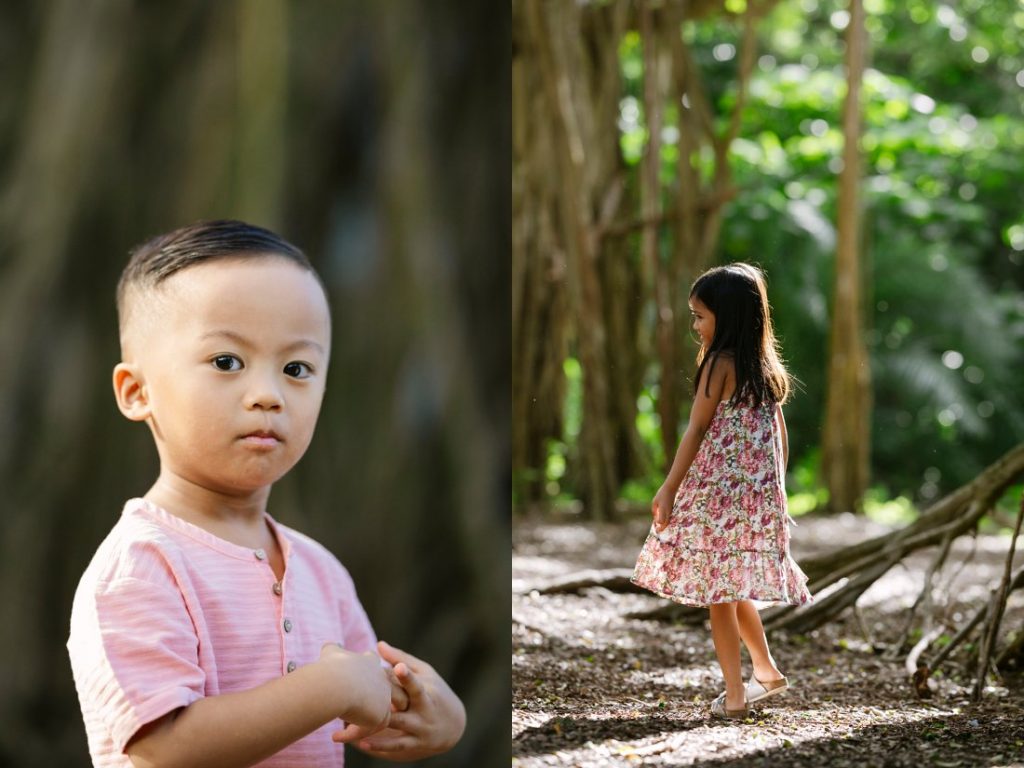 kids playing in the banyan trees in hawaii