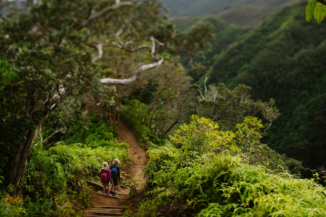 kids hiking along the kuliouou ridge trail in oahu